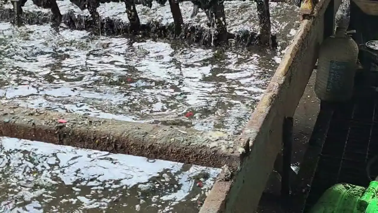 Plastic flakes churned through the tanks of a washing line