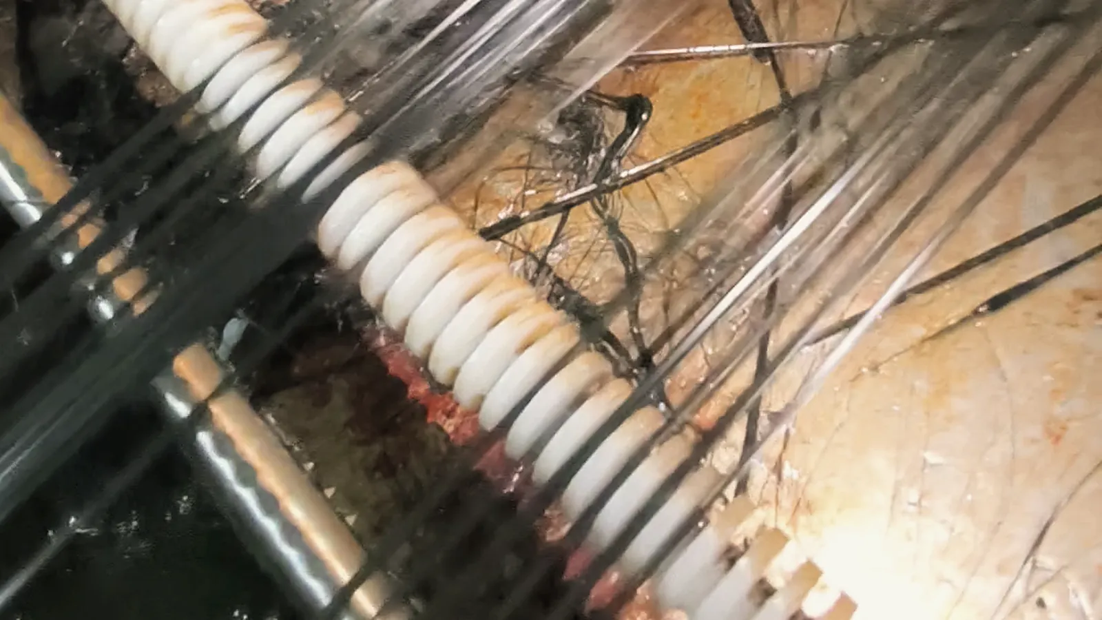 Cooled plastic strands running past a conveyor screw